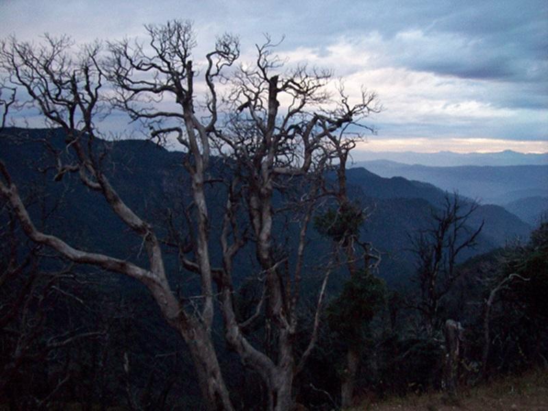 Kausani Best Inn Zewnętrze zdjęcie